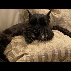 Meet your Posher, Donna